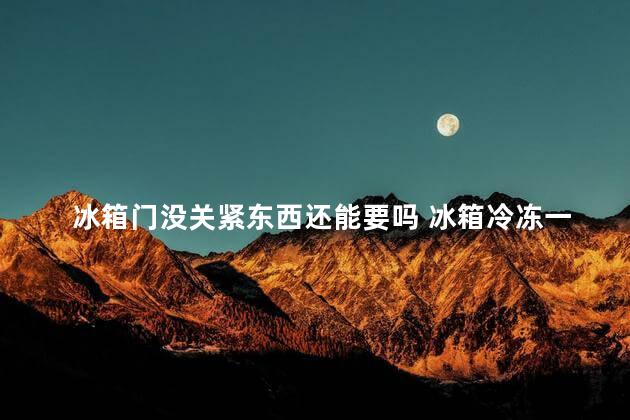 冰箱门没关紧东西还能要吗 冰箱冷冻一夜没关紧